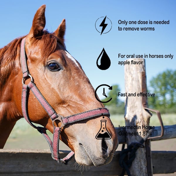 Ivermectin horse paste 1.87% 6.08 g tuber