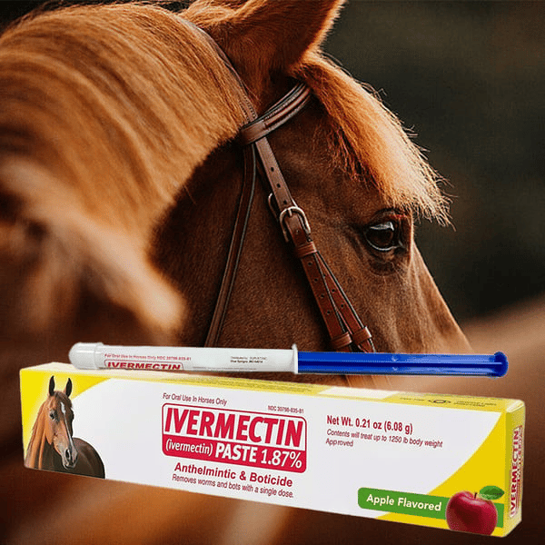 Ivermectin horse paste 1.87% 6.08 g tuber