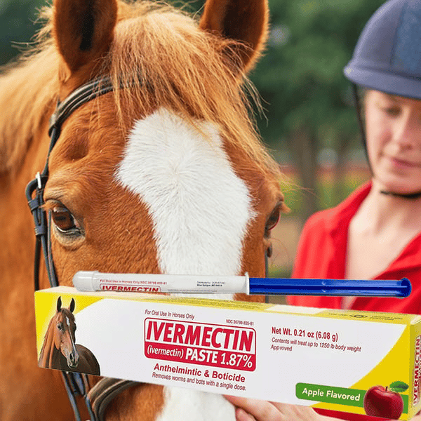 Ivermectin horse paste 1.87% 6.08 g tuber