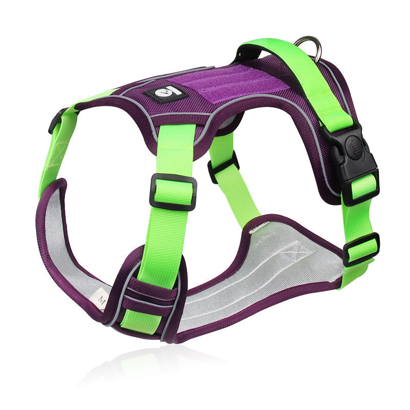 πΆ 50% OFF NOW! π‘οΈ No Pull Dog Harness with Leash & LED Collar β Secure & Comfortable β¨