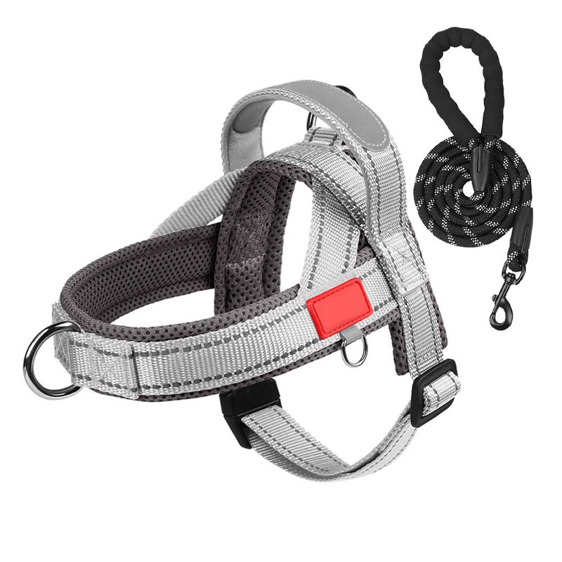 Pet Saddle Harness
