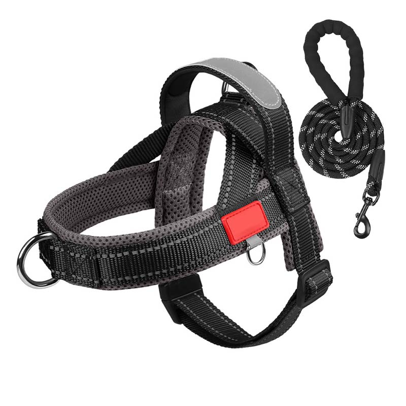 Pet Saddle Harness