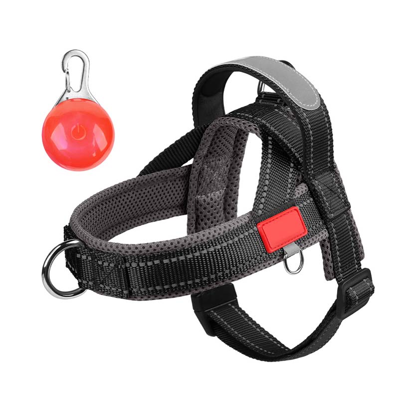 Pet Saddle Harness