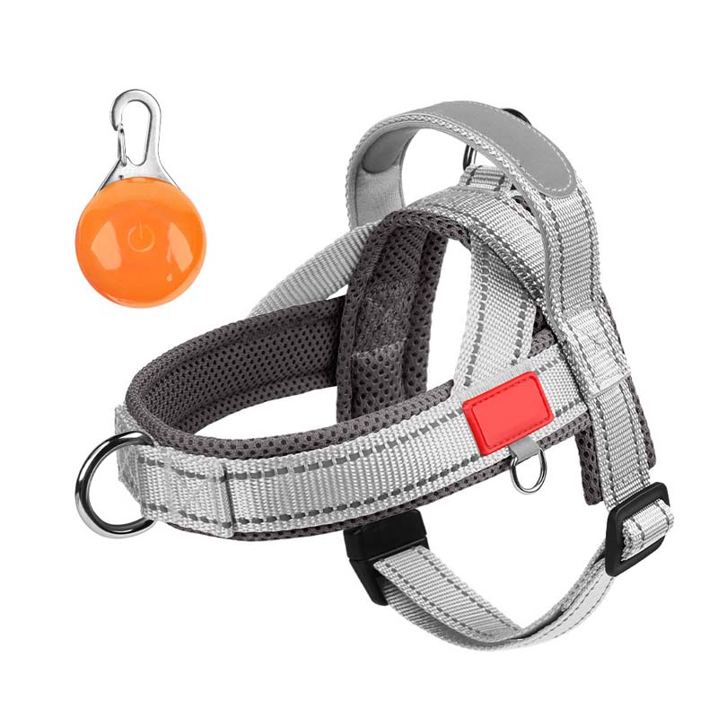 Pet Saddle Harness