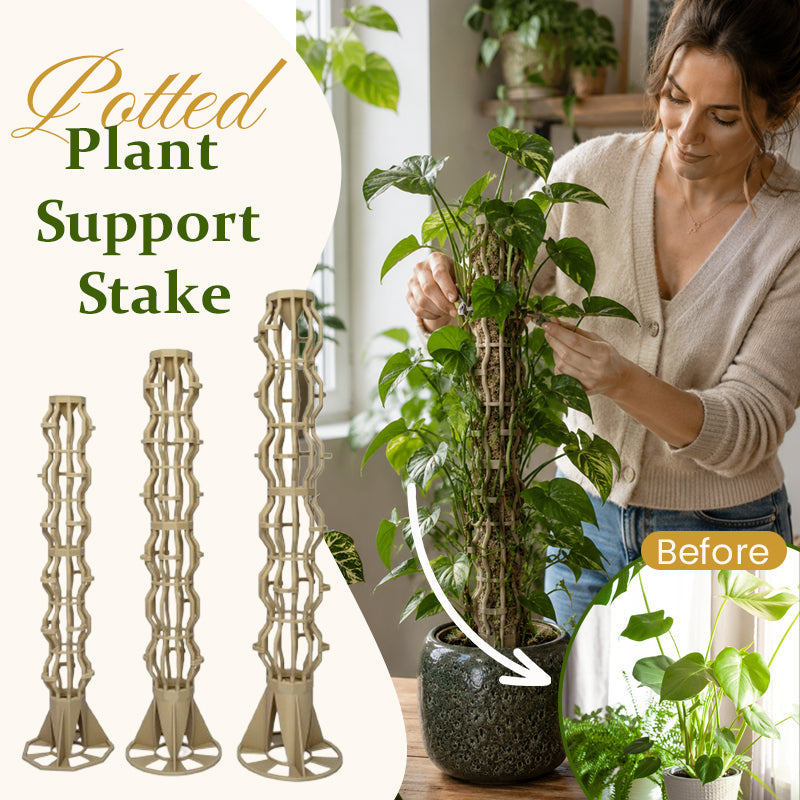 Potted Plant Support Stake