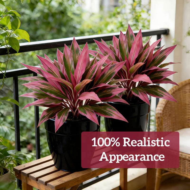 🌿 Finally… A Plant You Can’t Kill