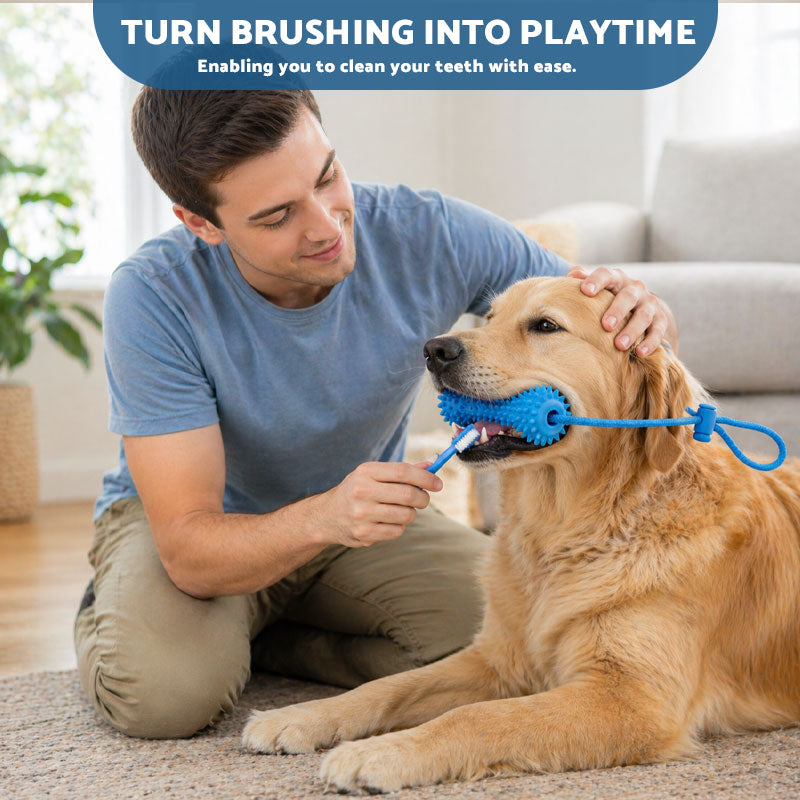 Pet Dental Chew Stick