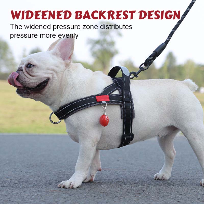 Pet Saddle Harness
