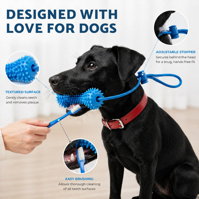 Pet Dental Chew Stick