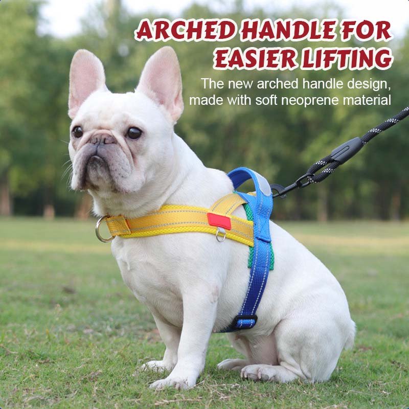 Pet Saddle Harness