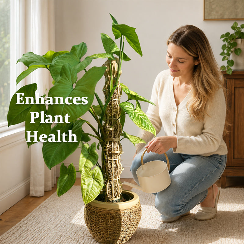 Potted Plant Support Stake