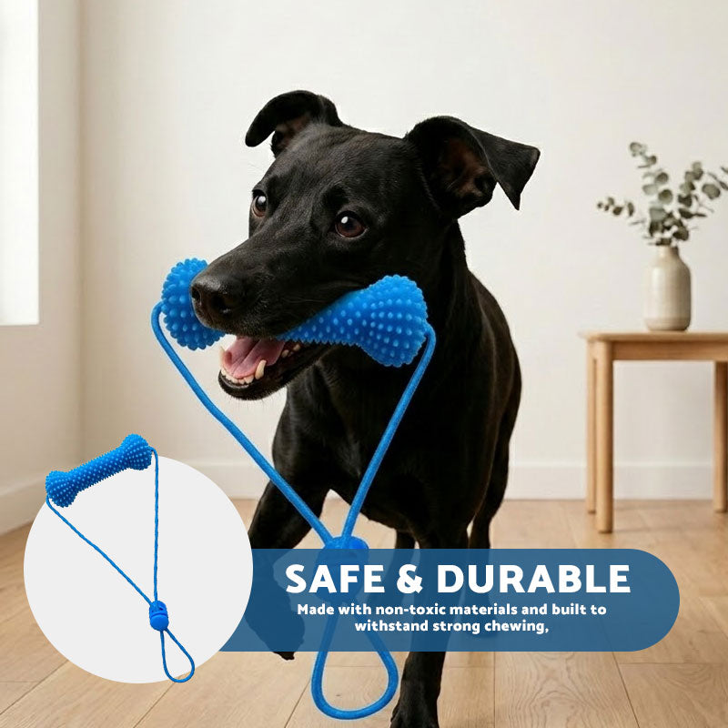 Pet Dental Chew Stick