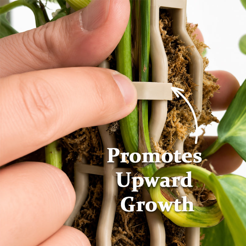 Potted Plant Support Stake