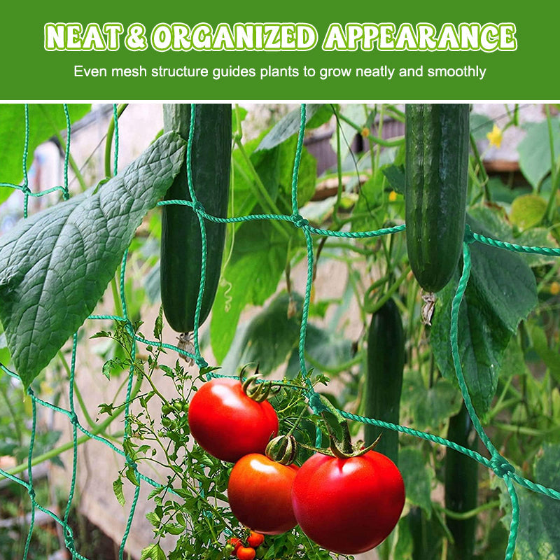 Plant Climbing Net