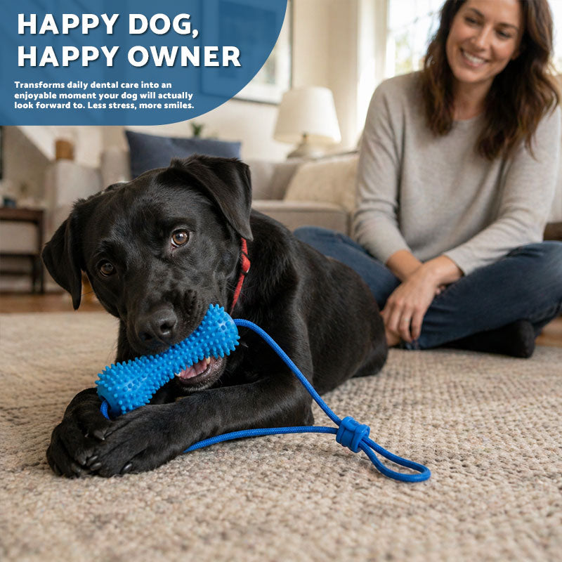 Pet Dental Chew Stick