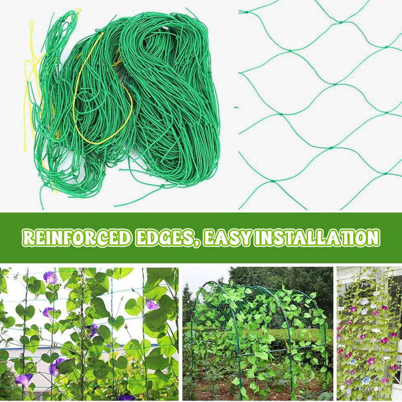 Plant Climbing Net