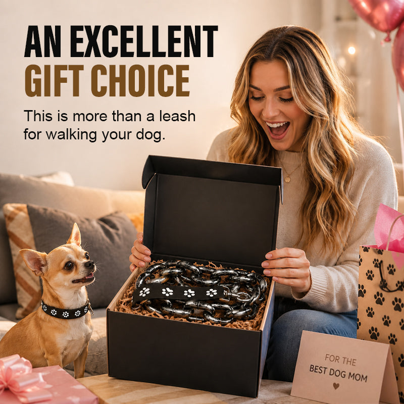 Giant Chain Style Lightweight Plastic Dog Leash for Small Dogs