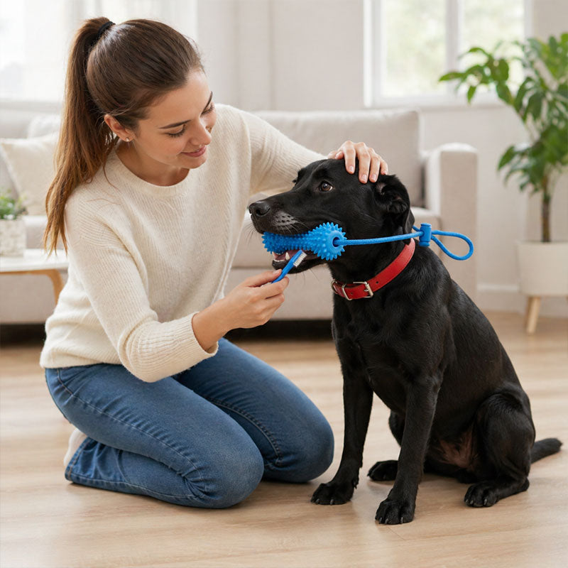 Pet Dental Chew Stick