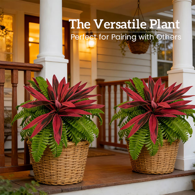 🌿 Finally… A Plant You Can’t Kill