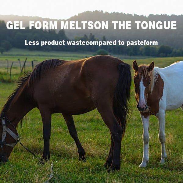 Ivermectin horse paste 1.87% 6.08 g tuber