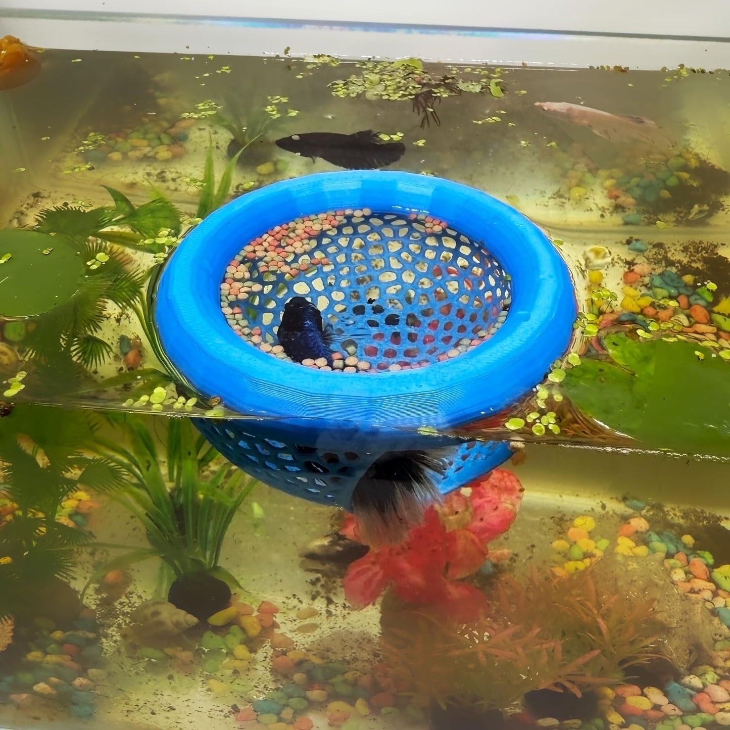 🐟 Floating Fish Rest Area｜Aquarium Hideout Accessory