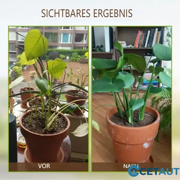 🌿💪 ECOCERT-certified soil activator – Strengthens your soil and promotes lush growth with ease! 🌼✅