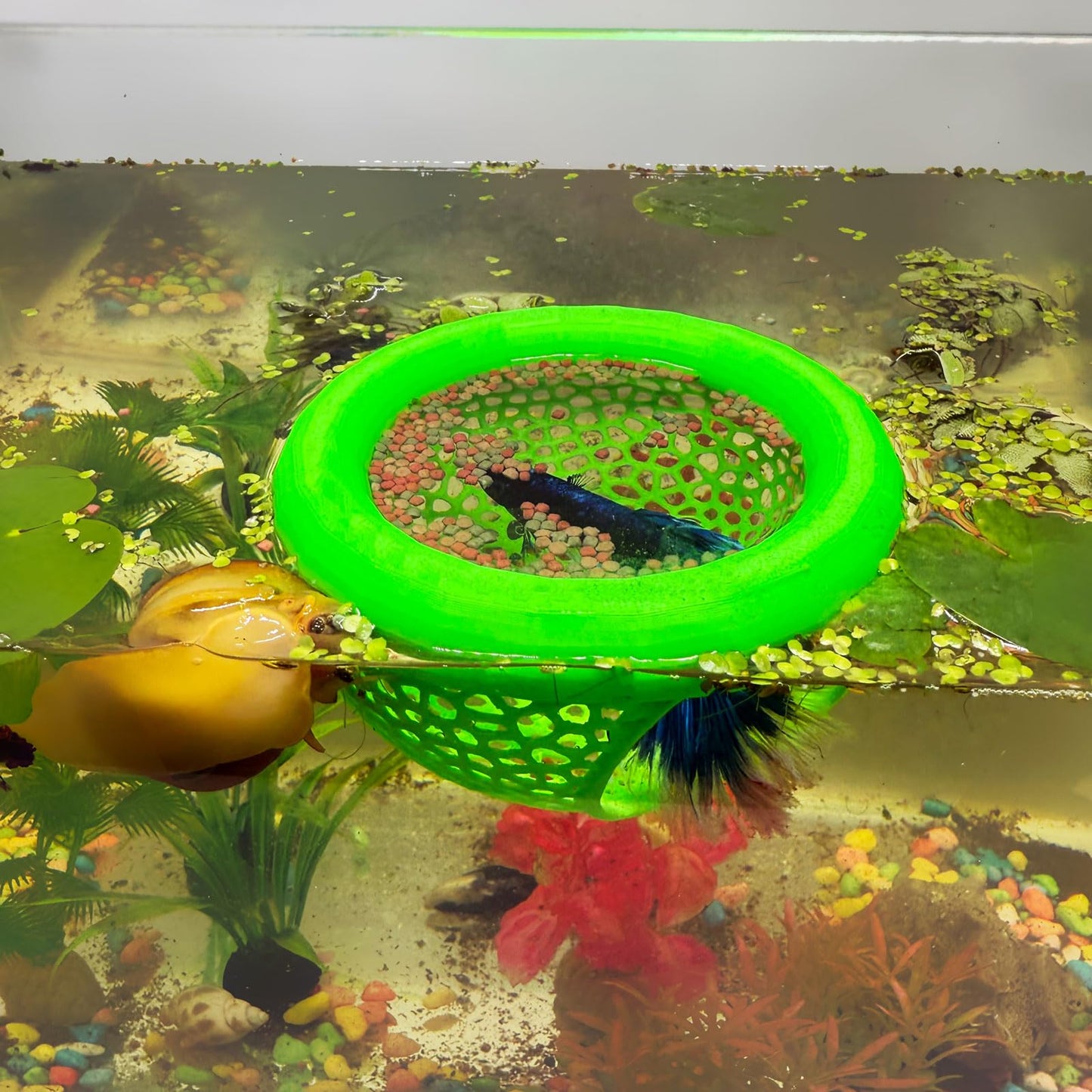 🐟 Floating Fish Rest Area｜Aquarium Hideout Accessory