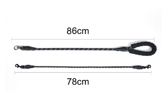 🐕Double Bungee Leash - 1st step training tool