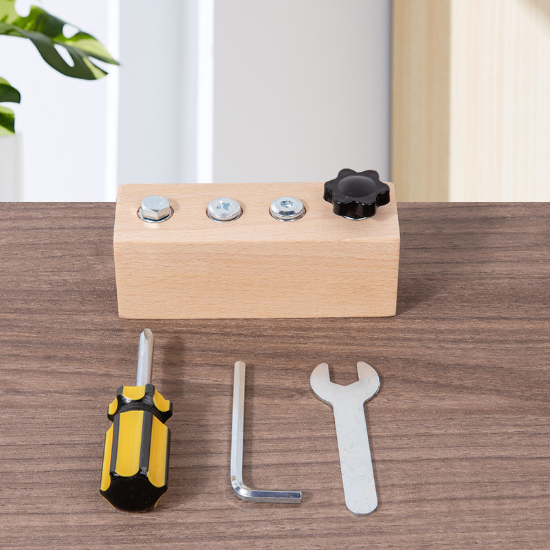 Montessori wooden toy with screw board