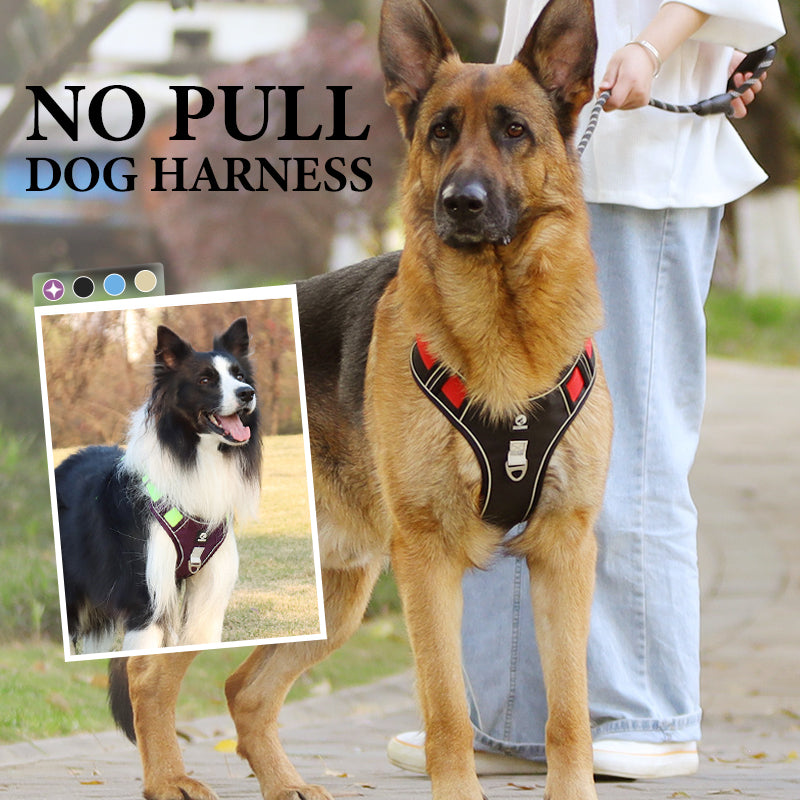 🐶 50% OFF NOW! 🛡️ No Pull Dog Harness with Leash & LED Collar – Secure & Comfortable ✨
