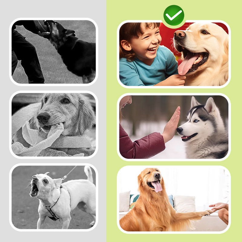 🐕‍🦺 LIMITED-TIME 50% OFF! ✨ Compact Ultrasonic Dog Deterrent – Safe, Portable ✨
