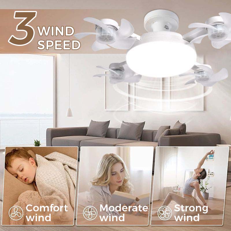 🌀 50% off💥Ceiling fan with LED light and remote control