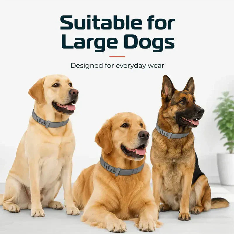 🐾 2026 Sale — Over 40,000 Sold!🛡️ Pet Flea & Tick Collar – Weatherproof & Adjustable 🌿